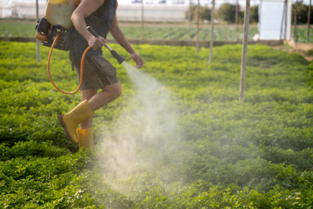 Professional Pest Control in Mount Vernon, VA